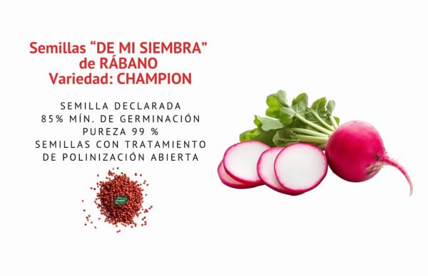 rabano champion semillas informaciÓn