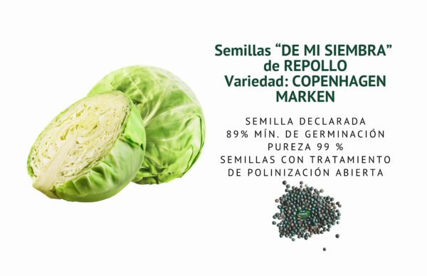 repollo copenhagen semillas informaciÓn