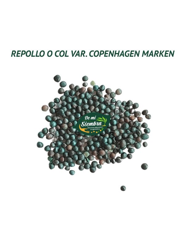 repollo copenhagen semillas 1