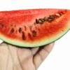 sandia sugar baby foto 5