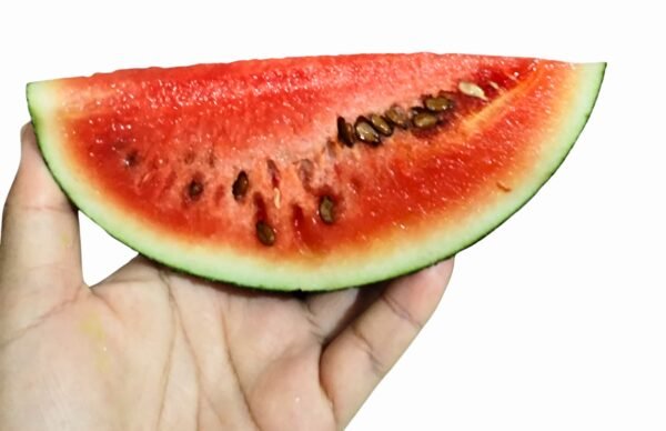 sandia sugar baby foto 5