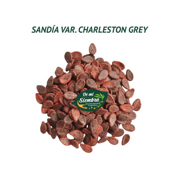 sandia charleston grey semillas 1 sandia charleston grey semillas 1
