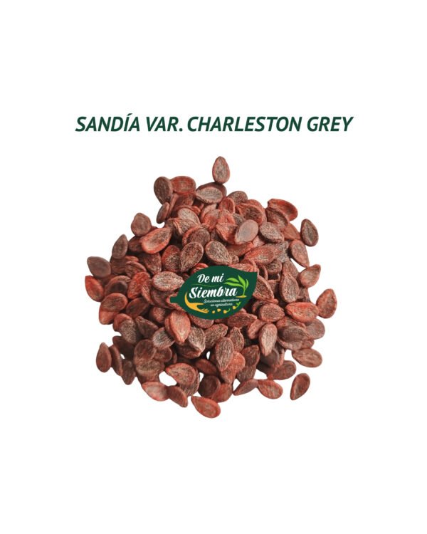 sandia charleston grey semillas 1