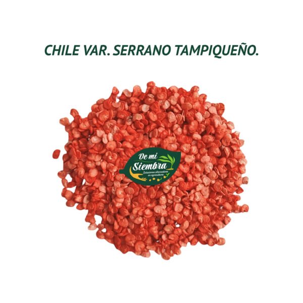 serrano tampiqueño semillas 1 serrano tampiqueño semillas 1