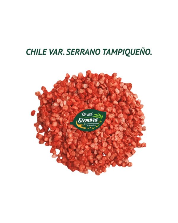 serrano tampiqueño semillas 1