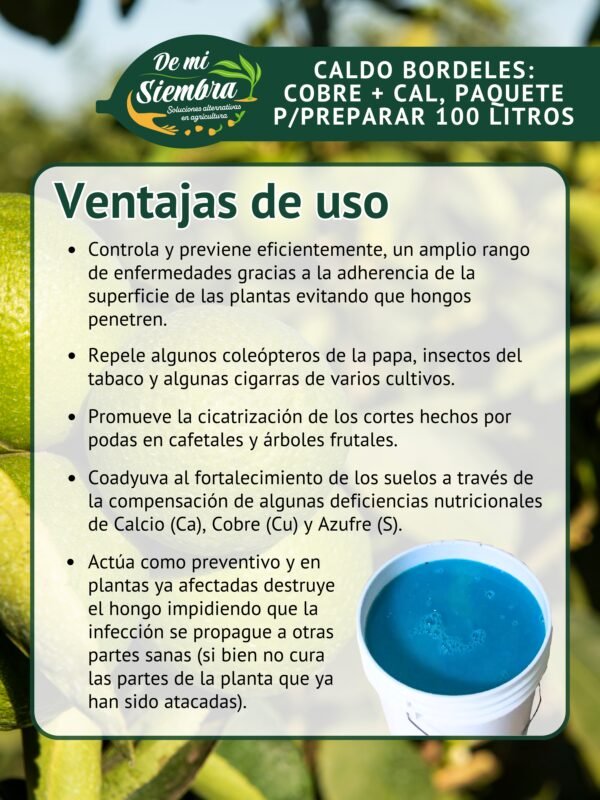 ventajas de uso, caldo bordeles
