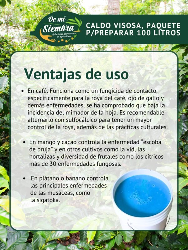 ventajas de uso, caldo visosa