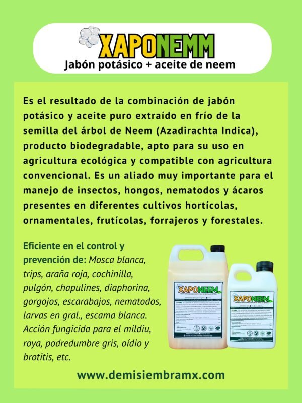 xaponemm información