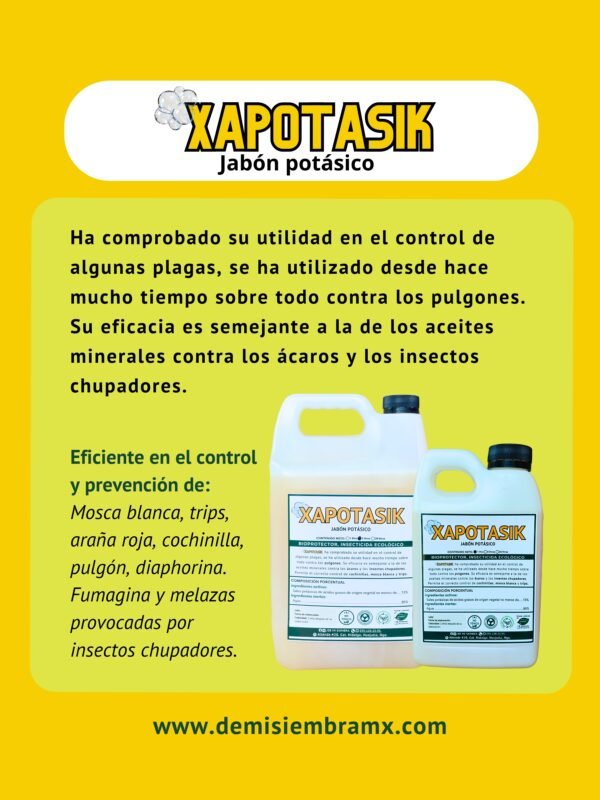 xapotasik información