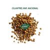 cilantro nacional semillas 1