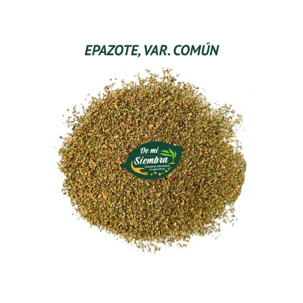 epazote comun semillas 1 epazote comun semillas 1