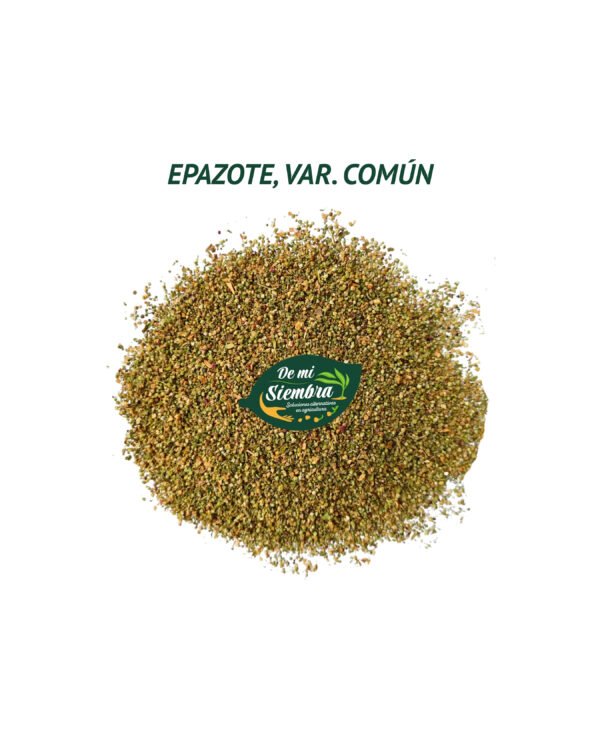 epazote comun semillas 1
