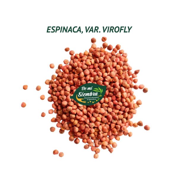 espinaca virofly semillas 1