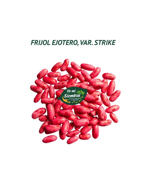 frijol ejotero strike semillas 1