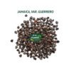 jamaica guerrero semillas 1