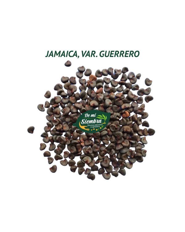jamaica guerrero semillas 1