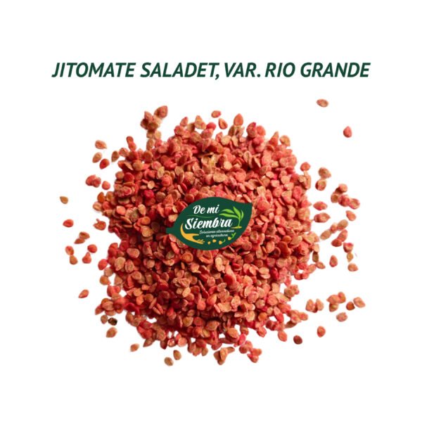 jitomate rio grande semillas 1