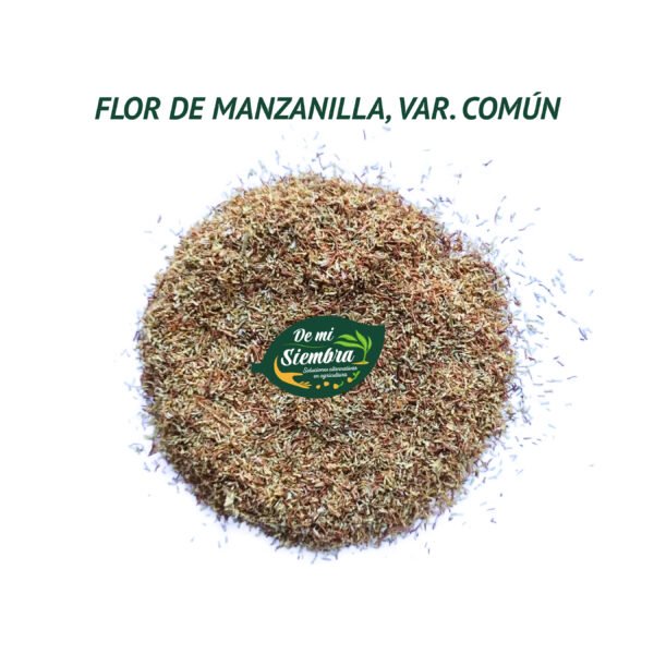 manzanilla común semillas 1