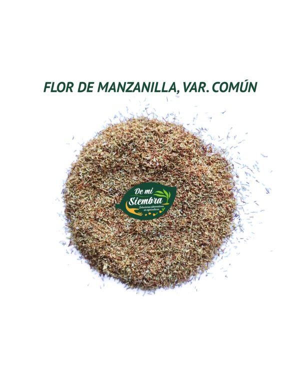 manzanilla común semillas 1
