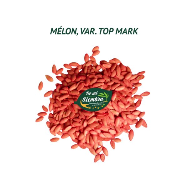 melon top mark semillas 1