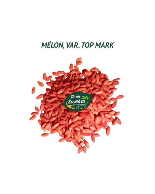 melon top mark semillas 1