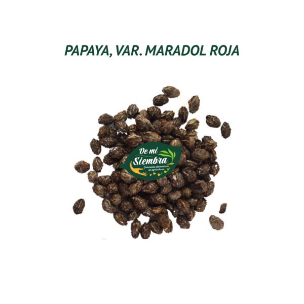 papaya semillas 1