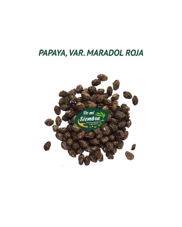 papaya semillas 1