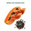 papaya semillas