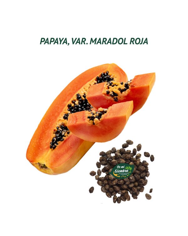 papaya semillas