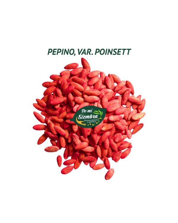 pepino poinsett semillas 1