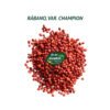 rabano champion semillas 1