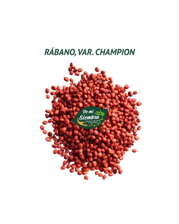 rabano champion semillas 1