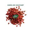 sandia sugar baby semillas 1