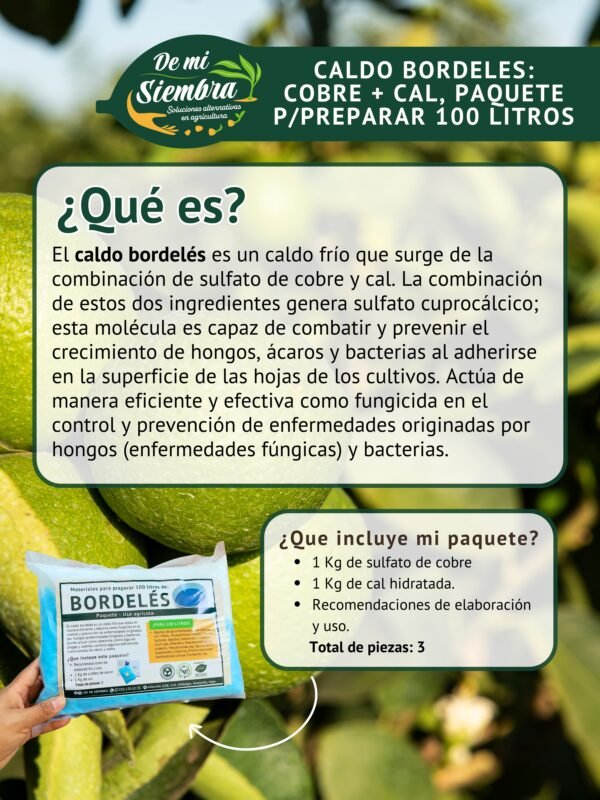 ¿que es el caldo bordeles