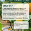 ¿que es el caldo sulfocalcico