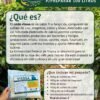 ¿que es el caldo visosa