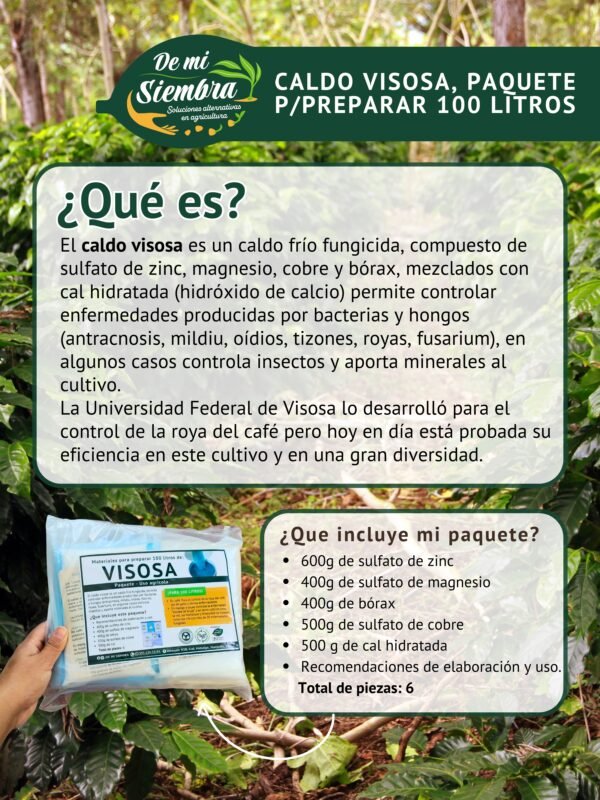 ¿que es el caldo visosa